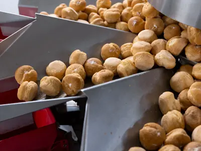  QC Medewerker 